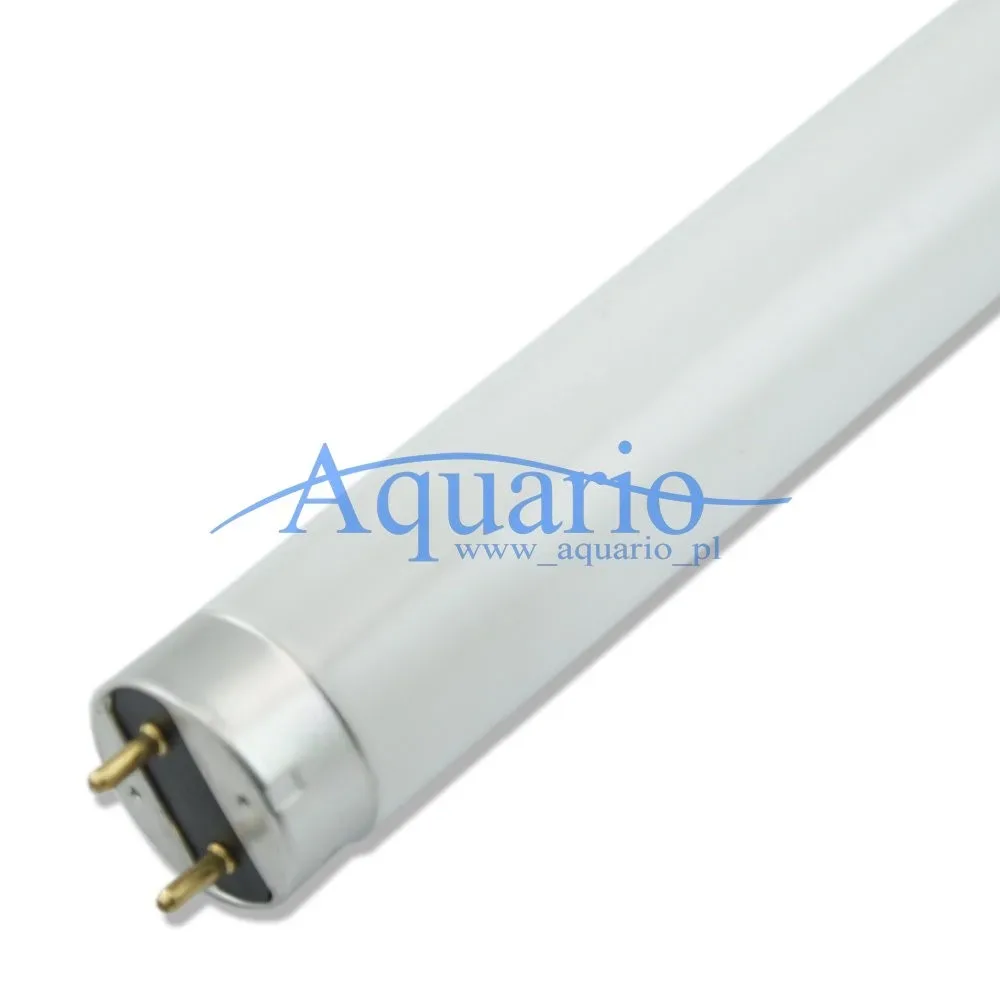 15W Świetlówka T8 Polamp 865 6500k 44cm