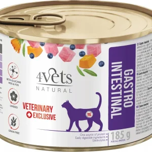 4Vets Natural Gastro Intestinal 185 g Cat