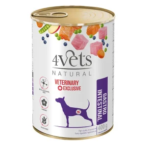 4VETS NATURAL – Gastro Intestinal Dog 400g
