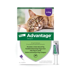ADVANTAGE 80 DLA KOTÓW, ROZTWÓR DO NAKRAPIANIA 100 MG/ML 0,8 ML X 4