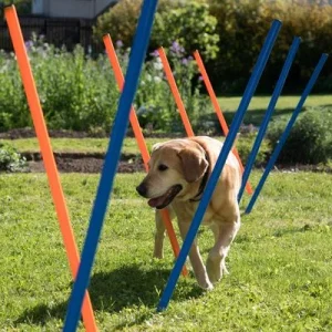 Agility Fun & Sport Drążki do slalomu