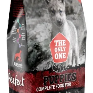ALPHA SPIRIT Pełnoporcjowa sucha karma Puppies 12kg