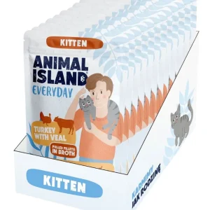 Animal Island