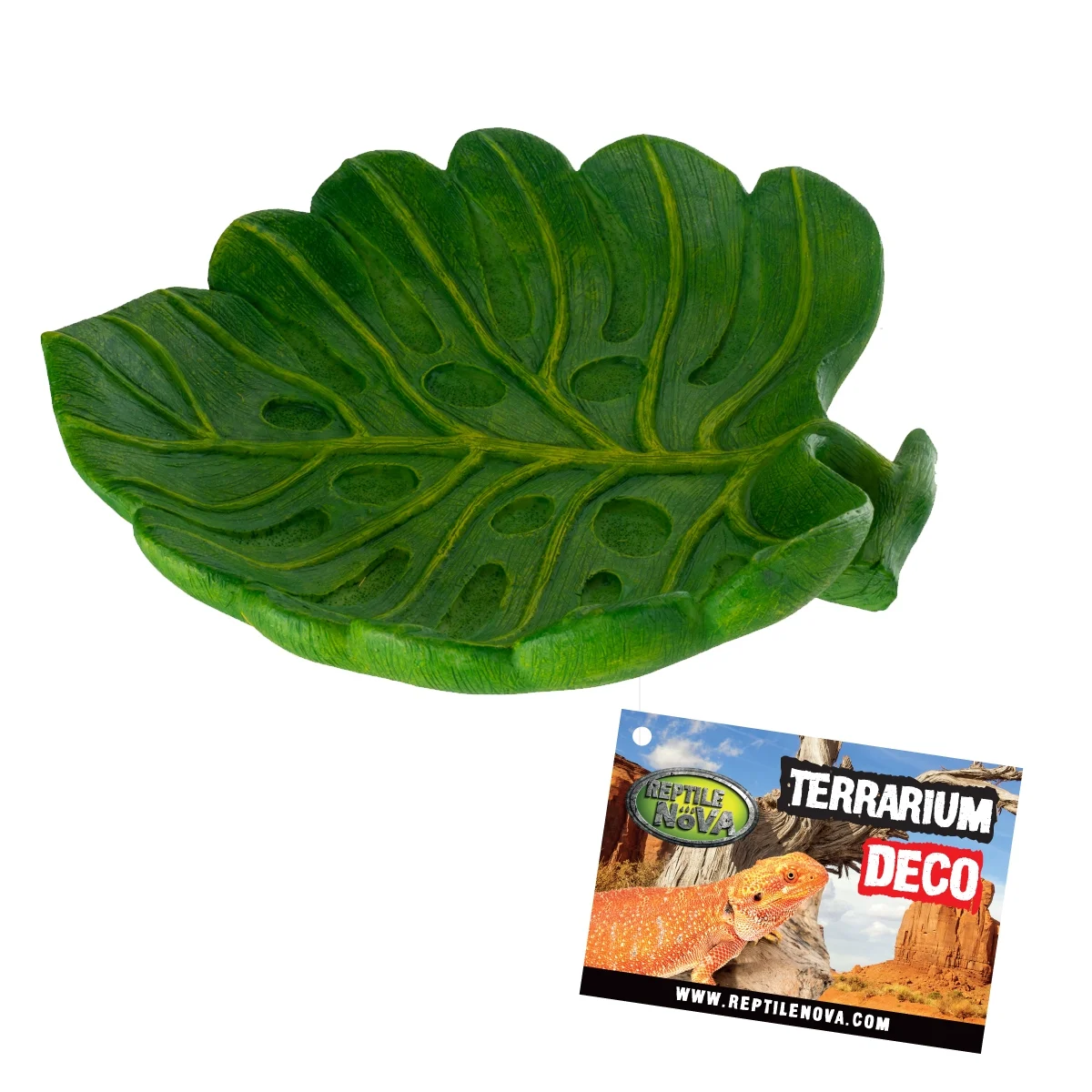 ANV Miska do terrarium rozmiar15x13,5×3,5cm