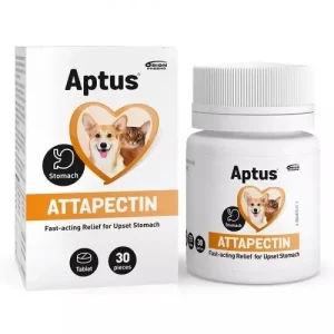 Aptus Attapectin 30 tabletek – szybka pomoc w przypadku rozstroju żołądka i biegunki