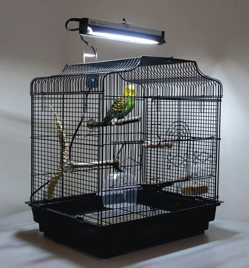 Arcadia Puresun Mini 8W 2,4% UVB – Zestaw oświetleniowy lampa z żarówką dla papug