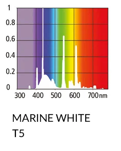 ARCADIA Świetlówka T5 Marine White 80W/14.000K (4310 lumenów!) - Image 2