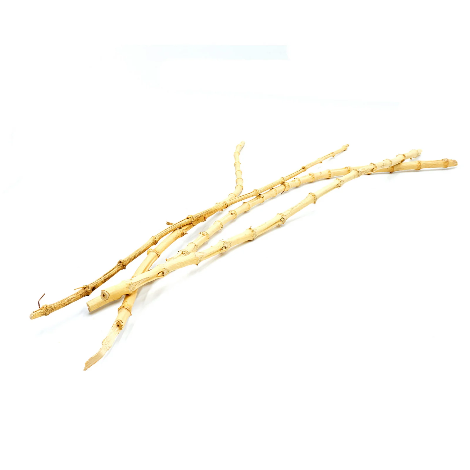 Bamboo Soft Bambus giętki 50cm - Image 2