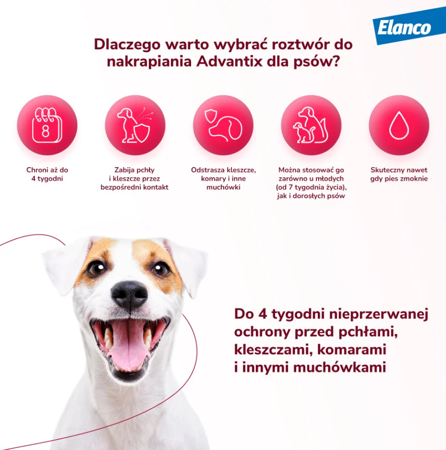 Bayer Advantix Spot-on do 4 kg na kleszcze i pchły