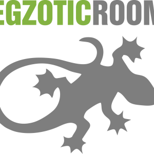 Bon podarunkowy – voucher do sklepu Egzotic-room.com
