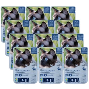 Bozita karma dla kota