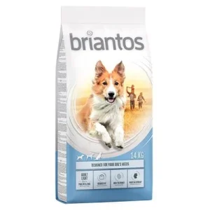 Briantos Adult Light ► Zamów teraz ✔