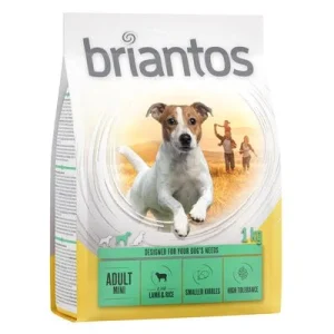 Briantos Adult Mini, jagnięcina & ryż ► Zamów teraz ✔