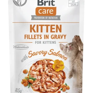 BRIT CARE Cat Kitten Fillets in Gravy with Savory Salmon Enriched with Sea Buckthorn and Nasturtium 85g