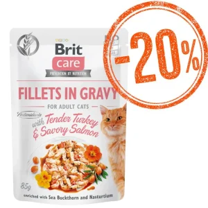 BRIT CARE Cat Pouches Fillets in Gravy with Tender Turkey & Savory Salmon 85g