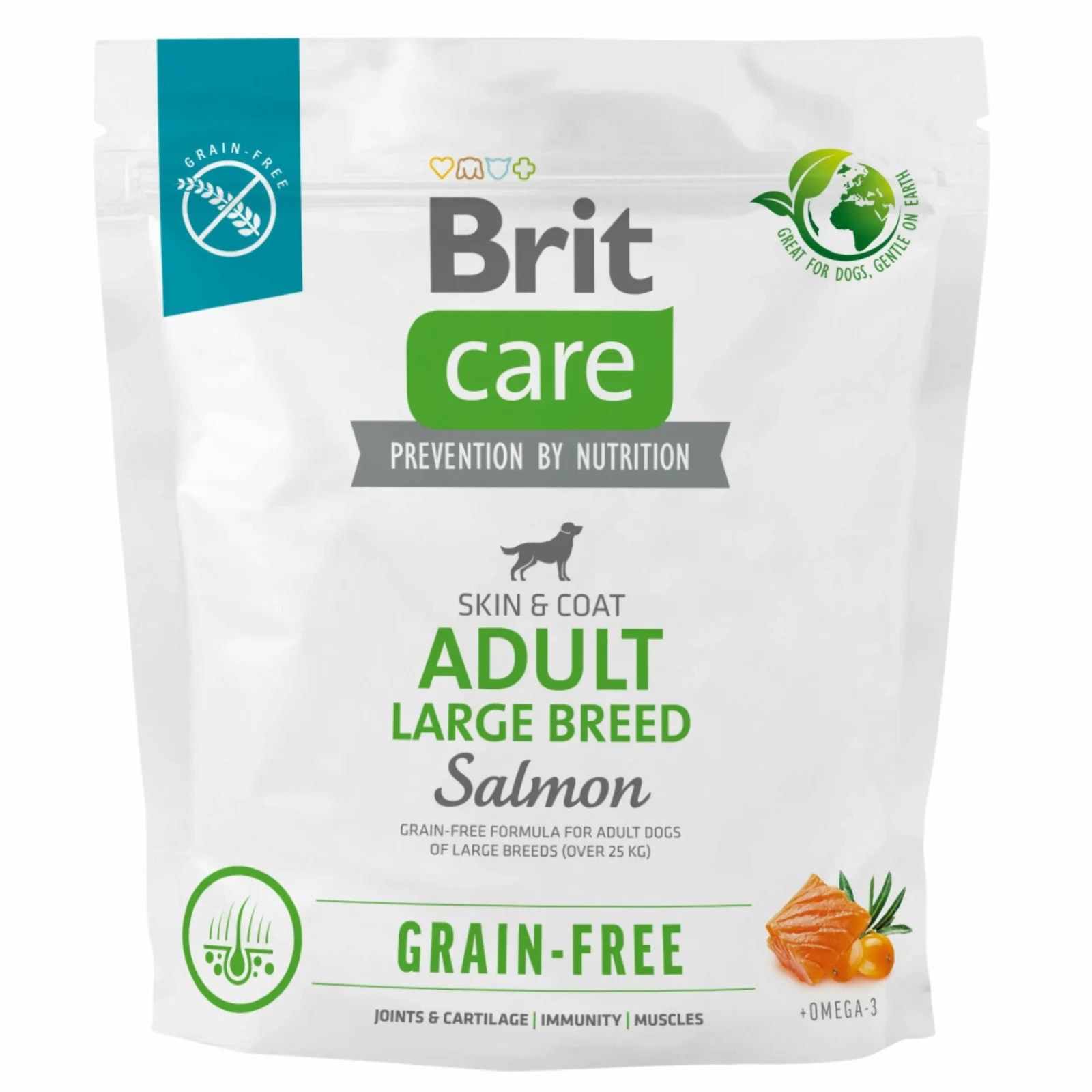 BRIT CARE pies Grain Free Adult Large Salmon 1kg