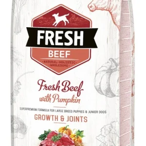 Brit Fresh Beef & Pumpkin Puppy Large Growth & Joints 12kg