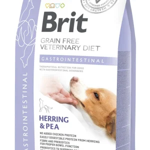 Brit GF veterinary diets dog Gastrointestinal 2 kg