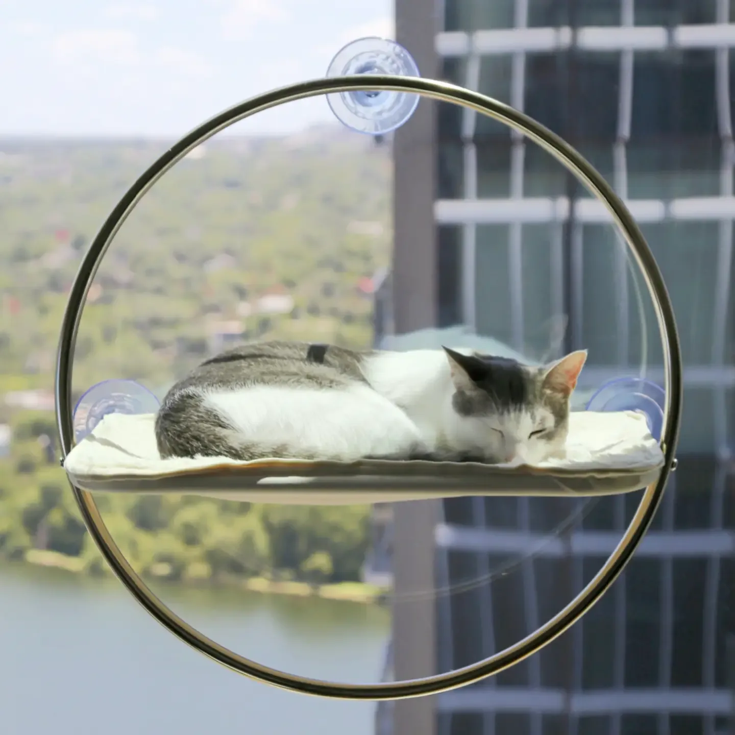 CATENARY – ORBIT HAMAK NA OKNO DLA KOTA