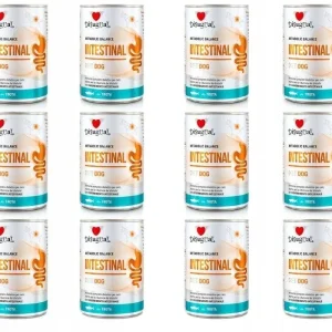 Disugual Karma Mokra Dla Psa Weterynaryjna Intestinal Jelita Pstrąg 12x400g