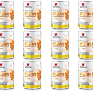 Disugual Psy Karma Mokra Weterynaryjna Intestinal Jelita Kurczak 12x400g