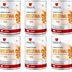 Disugual Psy Karma Mokra Weterynaryjna Intestinal Jelita Wołowina 6x400g