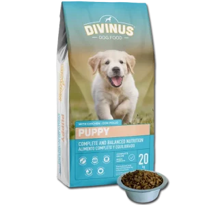 Divinus