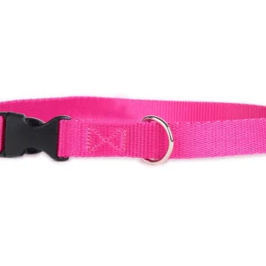 DogStuffs Obroża z plastikową klamrą 20mm/30-55cm różowa