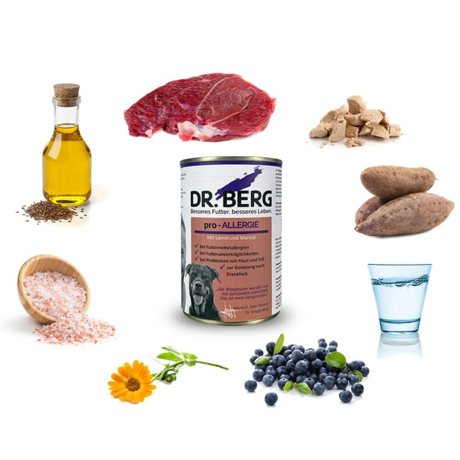 Dr. BERG Pro-ALLERGIE – Alergie, Stany Zapalne - Image 2