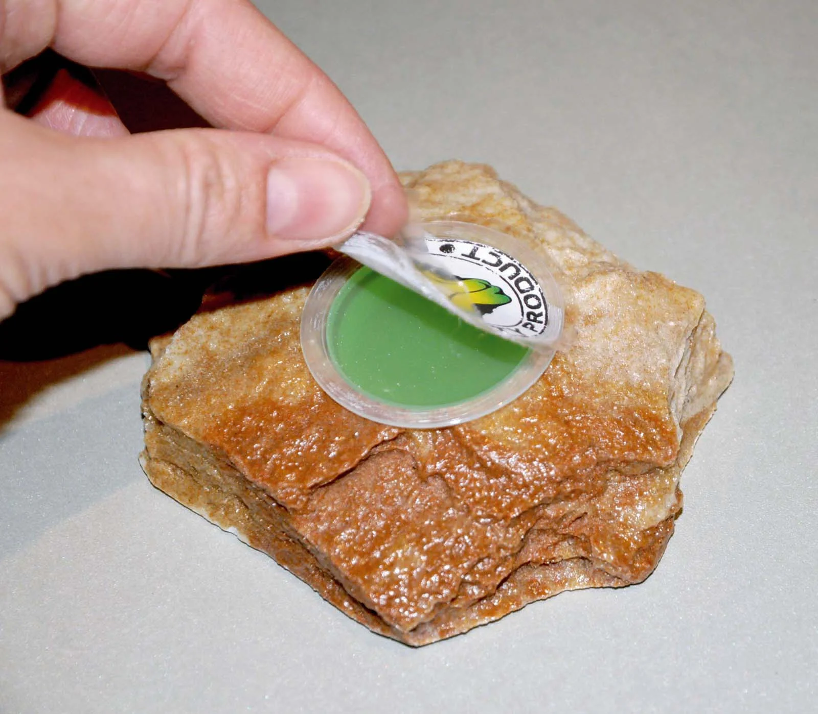 DRAGON karmnik piaskowiec na galaretki Dragon Jelly i Herpetal