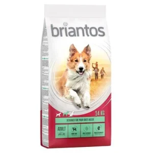 Dwupak Briantos ► Zamów teraz ✔