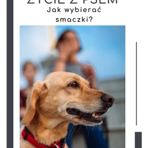 E-book: Dobre życie z psem: Jak wybierać smaczki?