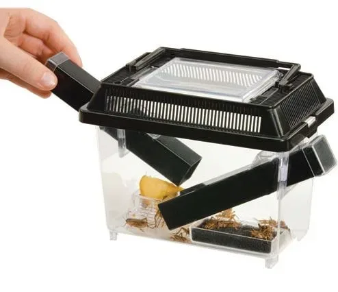 Exo Terra Cricket Pen S Terrarium na karmówkę (18x14x11cm)
