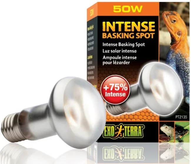 Exo Terra Intense Basking Spot 50W (żarówka grzewcza)