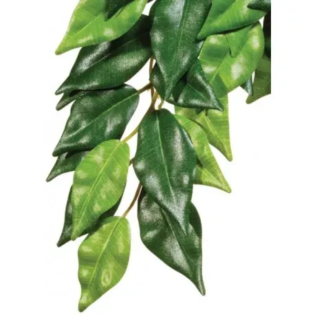 Exo Terra roślina wisząca Fikus 70cm - Image 2