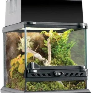 EXOTERRA Terrarium szklane NANO 20x20x20cm