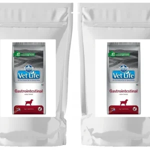 Farmina Vet Life Pies Gastrointestinal Sucha Karma 2x1kg PRÓBKA NA WAGĘ