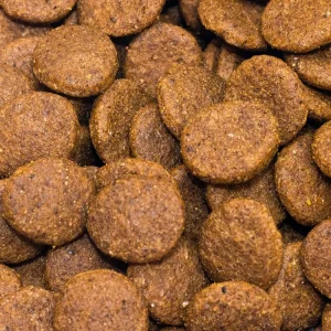 Kaczka z batatami i pomarańczami 100g próbka