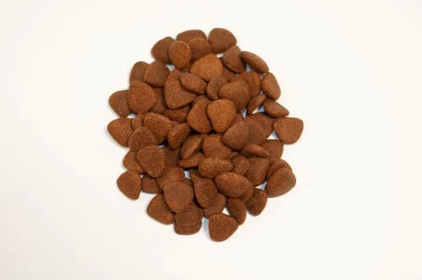 Karma bezzbożowa dla psa Kaczka Superfood monobiałkowa 2 kg - Image 2
