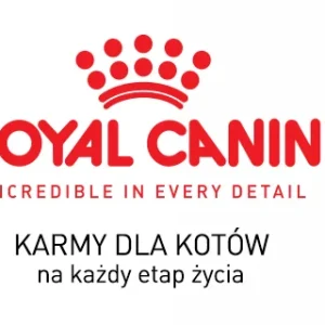 Karma dla kota dorosłego