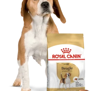 Karmy dla psów rasy Beagle w sklepie zoologicznym ZooArt