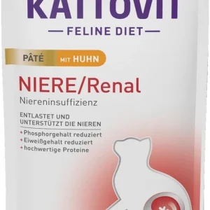 Kattovit