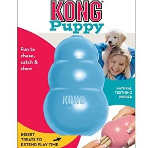 KONG Puppy M