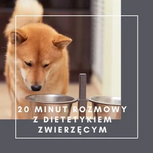 Konsultacja telefoniczna dietetyka zwierzęcego dla psa lub kota – 20 minut rozmowy