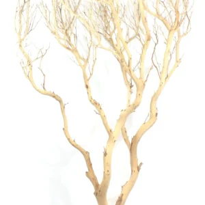 Korzeń dekoracyjny Drift Wood