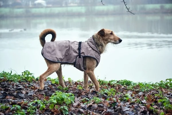 Kurtka dla psa z odblaskami marki Hunter beżowa 40
