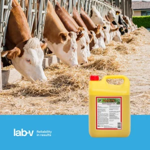Lab-v Hepasil Vet Dla Bydła - Mieszanka Paszowa Dla Bydła Na Poprawę Funkcjonowania Wątroby 5kg