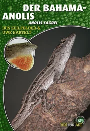 LITERATURA Anolis brązowy Anolis sagrei (Uwe Bartelt & Iris Zeilfelder)