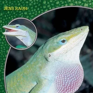LITERATURA Anolis zielony Anolis carolinensis ( Jens Rauh)