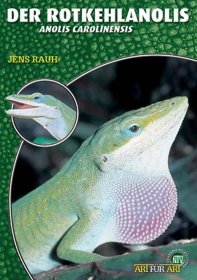 LITERATURA Anolis zielony Anolis carolinensis ( Jens Rauh)